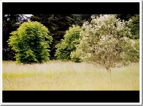 22 July 4 18-07-2013 12-13-05