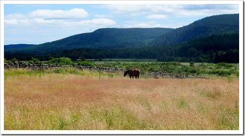 22 July 7 15-07-2013 12-07-04