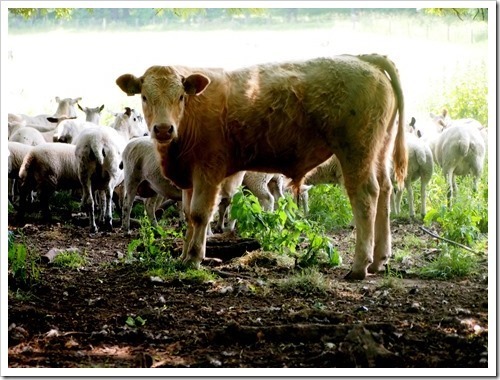 22 July 9 11-07-2013 12-22-35