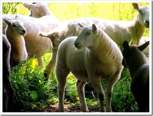 22 July 10 11-07-2013 12-23-15