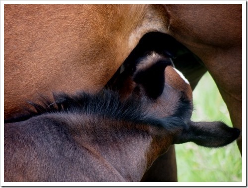 22 July 12 10-07-2013 13-10-51