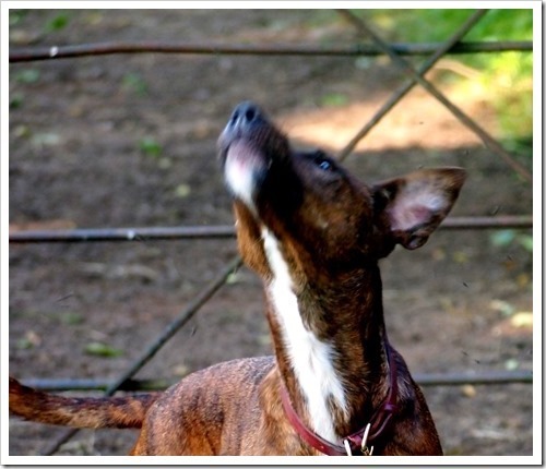 22 July 16 07-07-2013 18-20-26