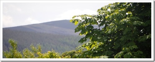 22 July 20 09-07-2013 12-30-50