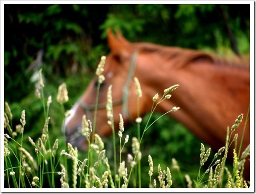 21 July 1 20-07-2013 10-21-38