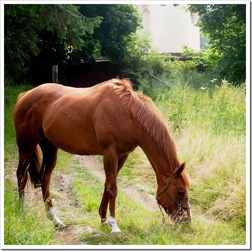 21 July 3 20-07-2013 10-25-49