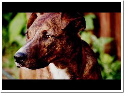 21 July 5 07-07-2013 18-22-02