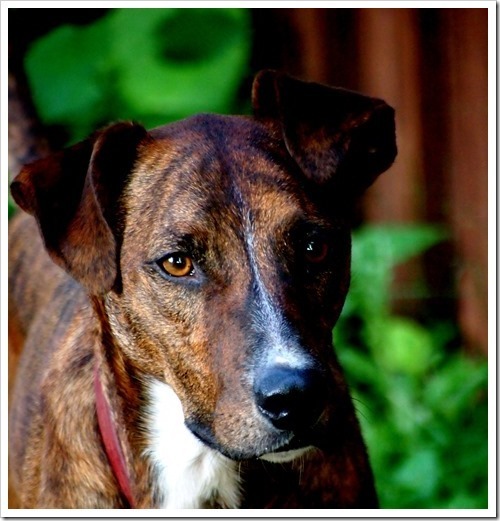 21 July 7 07-07-2013 18-21-59