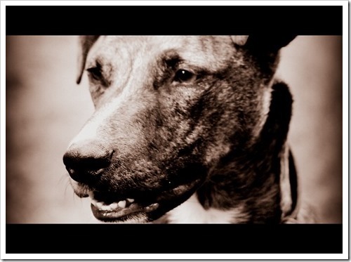 21 July 8 03-07-2013 11-40-53