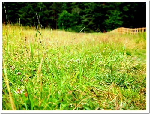 21 July 10 20-07-2013 10-23-54