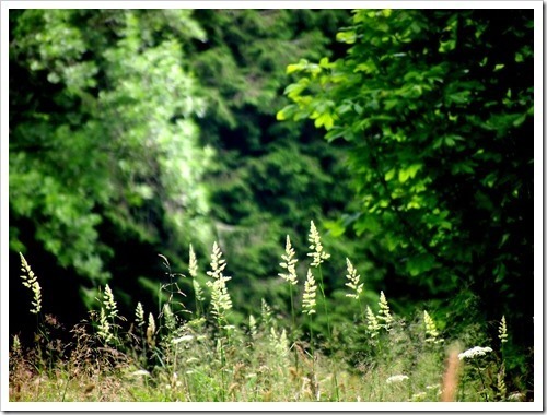 21 July 11 20-07-2013 10-21-46