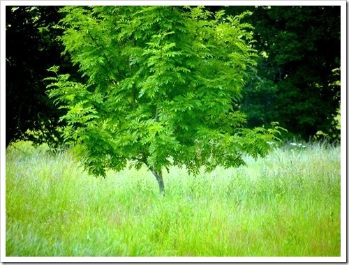 21 July 12 20-07-2013 10-20-38