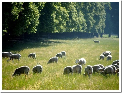 19 July 3 19-07-2013 07-59-10