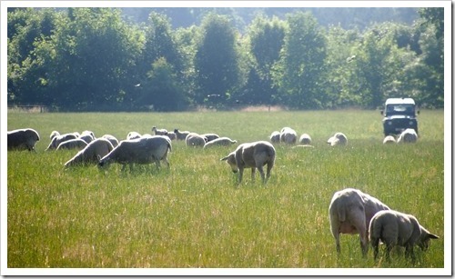 19 July 4 19-07-2013 07-59-28