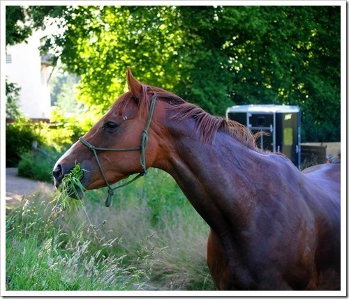 19 July 10 19-07-2013 09-01-02