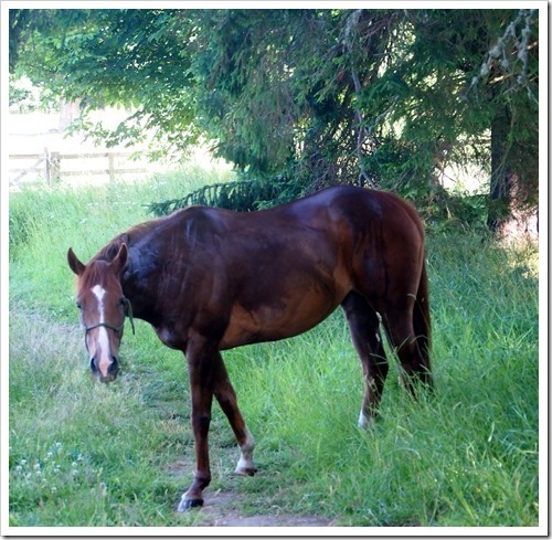 19 July 14 19-07-2013 08-58-34