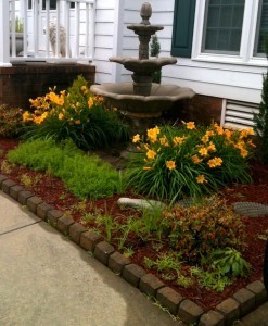 stellagarden