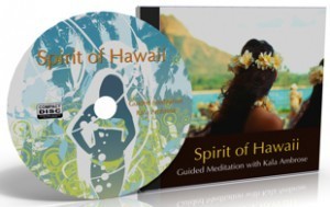 Meditation_CD_Hawaii_Cover-310px-3d