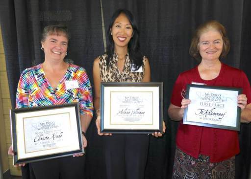 SDCWG 2013 Awards