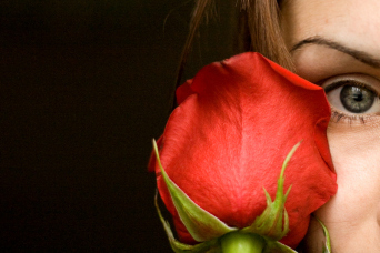 freeimage-4884242-web