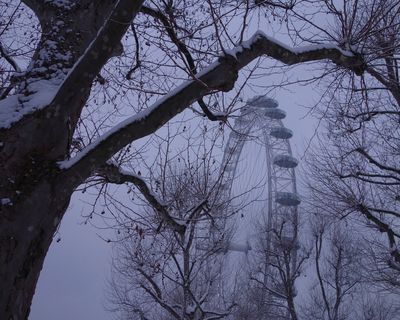 DSC00575