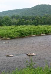 Berkshires