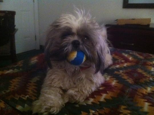 Obi_ball