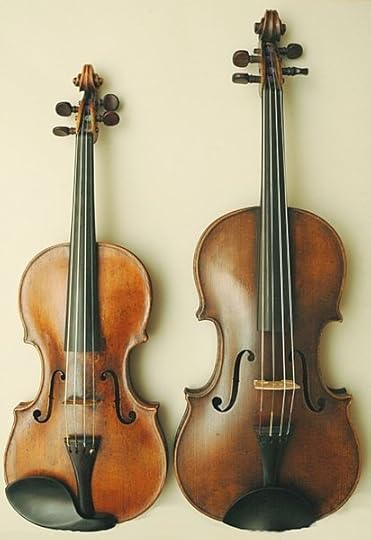 viola