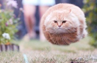 20120808