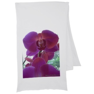 Orchid Scarf