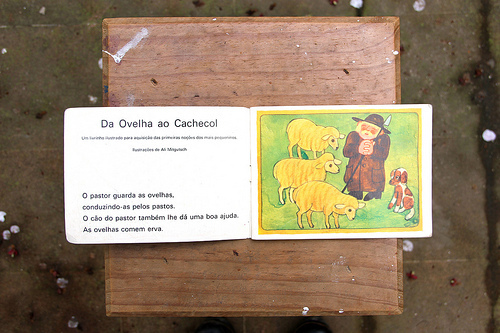 da ovelha ao cachecol