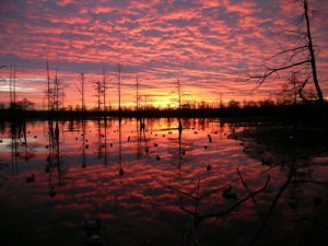 Reelfoot Lake; a beautiful but haunted place.
