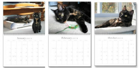 Conscious_Cat_Calendar