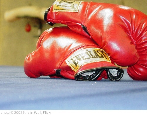 'Boxing Gloves' photo (c) 2002, Kristin Wall - license: http://creativecommons.org/licenses/by-nd/2.0/