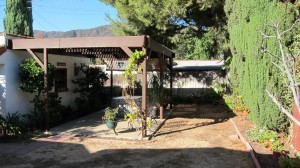 Wild horses roamed here. A rare breed called Croquetsdales.