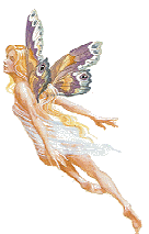 fairy08