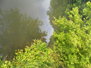 SAMSUNG DIGITAL CAMERA