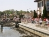 Viewing-from-the-shore