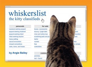 Whiskerslist_Angie_Bailey