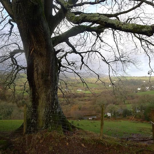 Oak and earth.