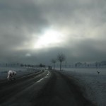 Lone Wolf