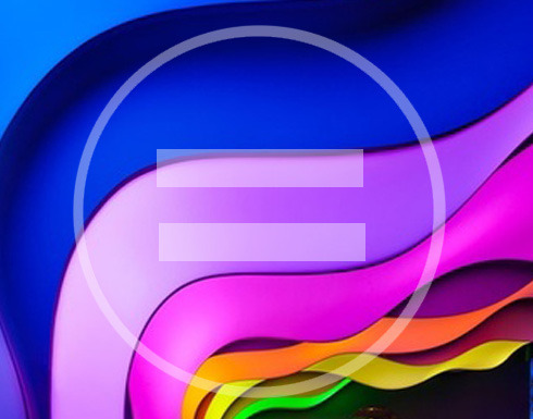 equality vote copy