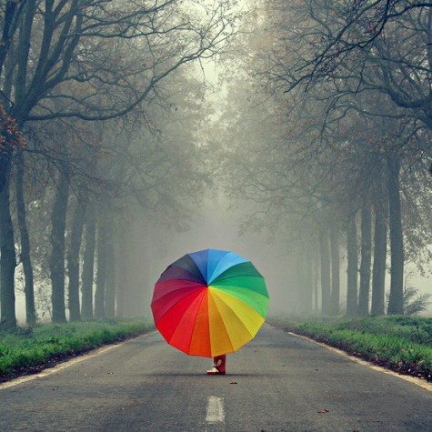 tumblr_m2ssuw2RLR1r3t8ico1_500