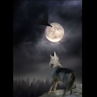 crowandWolf