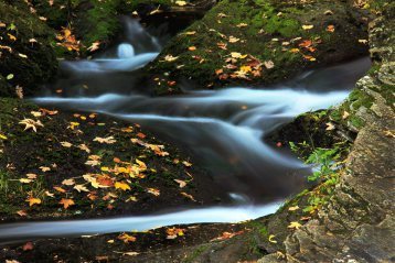 mountain_stream_in_autumn_192284