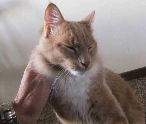 caspian and my watch