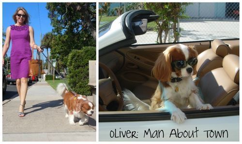 Oliver Man About Town