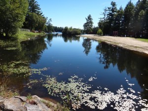 A Golden Pond