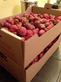 Thanks, Garcia Farm!