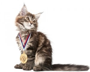 CatMedal