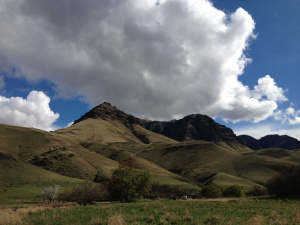 Picture, do the talking